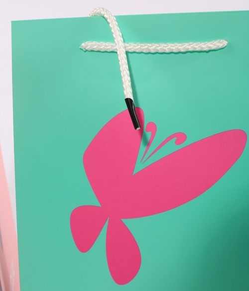 手提(tí)袋/紙袋