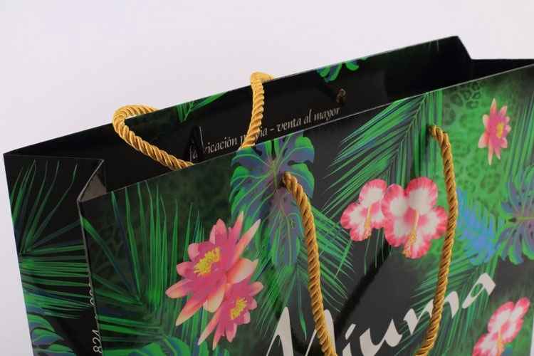 手(shǒu)提袋/紙(zhi)袋