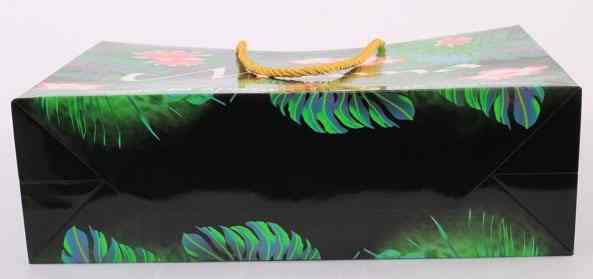 手提袋(dai)/紙袋